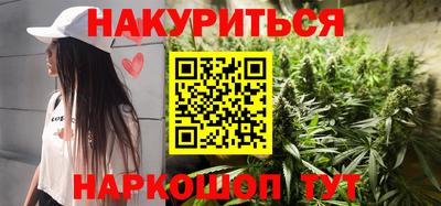 прущие крисы Гай